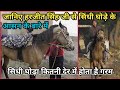 हरजीत सिंह जी से जानिए सिंधी घोड़ों के आसन और चाल के बारे में