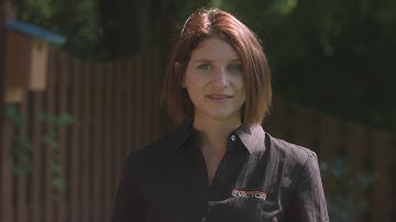 Learn How to Get Rid of Squirrels in Your Attic Quickly Easily Effectively