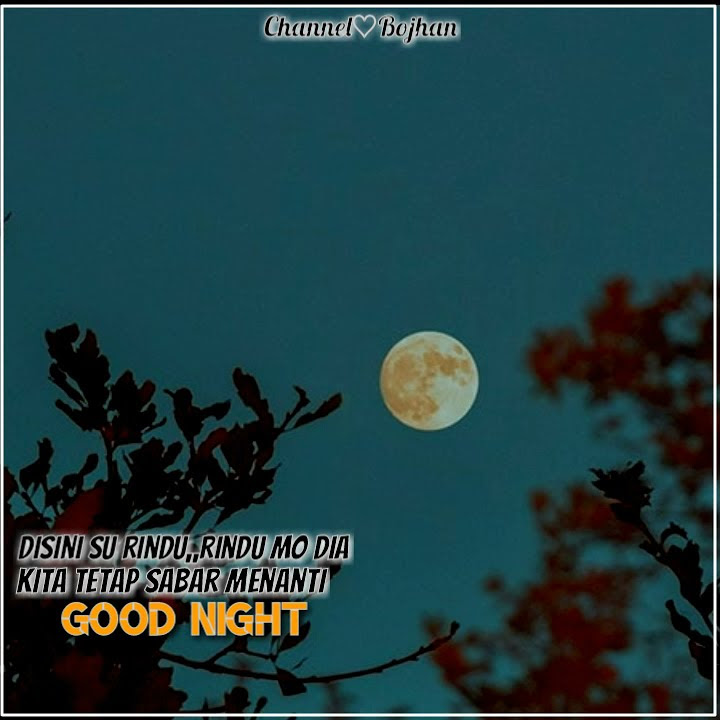 Dipon story wa(Bulan tolong katakan padanya)#Dipon Story wa#
