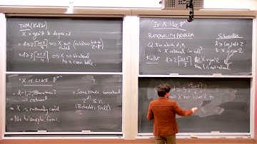 Studying the birational geometry of complex Fano hypersurfaces via characteristic