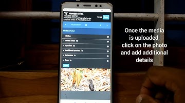 Introduction to ebird mobile app for beginners