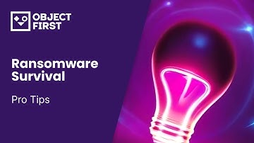 Ransomware Survival Pro Tips
