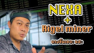 ขุด NEXA แรงขึ้นด้วย RIGEL Miner
