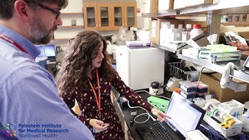 Summer Intern Program