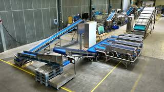 Automated processing line for salad & leafy vegetables with high capacity & new washing technology