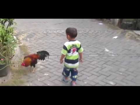 Video lucu Indoesia, anak anak ini bikin ketawa lucu banget #Video Kompilasi 5 #Kebangetan TV