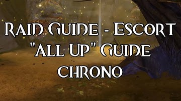 Raid Guide - Escort "All Up" Strategy - Chrono