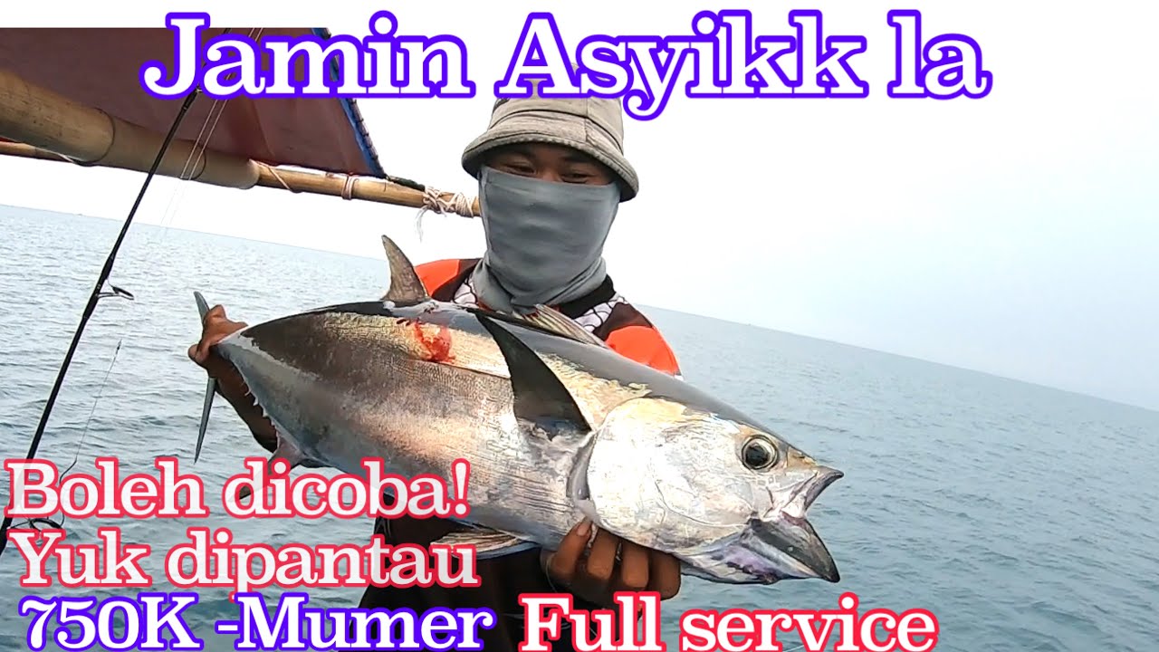 Boleh Dicoba ! Sewa Perahu Mancing 750K || Strike Tuna Tenggiri loo..|| Panimbang Banten