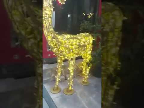 انظر لجمال هذه الأشجار والاجواء بتركيا بمنطقة تشيلي بعد راس سنة2022