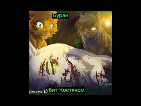 коты воители смерти - YouTube