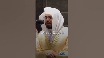 ما تيسر من سورة الأعراف،  القارىء الشيخ ياسر الدوسري #القرآن_الكريم #ياسر_الدوسري #الحمد_لله #غزة