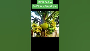 Hình ảnh minh họa về một FullStack Developer #shortvideo #developer