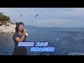 歹鐵變黃金 歹鐵變黃金