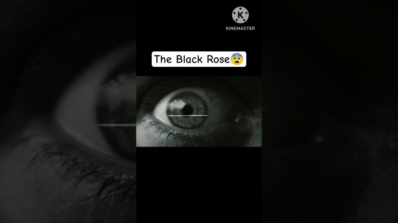 🖤🌹  The Black Rose Curse|horror story|