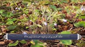 داستان یوسف علیه السلام - آيه 17-18 سوره يوسف