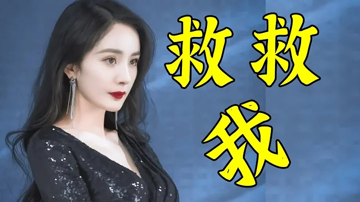 大瓜！杨幂被公开逼债！忍无可忍怒爆“我就是他们养的一条狗！”逼她签下3亿对赌还要逼她偿还1亿债务！看似风光的杨幂，这些年到底经历了怎样不为人知的往事？【娱与舆】 - 天天要闻
