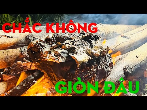 #1 MÓN NGON NGÀY MƯA /TỰ THỢ RỪNG Mới Nhất