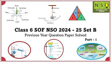 Class 6 SOF NSO 2024-25 Set B - Part 1