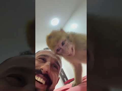 الواد ده عنبه حلوين كده ليه حيوانات ابو اسيا