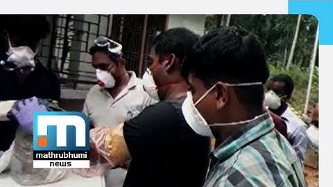 All We Need To Know About Nipah Virus: Doctor@2PM| Mathrubhumi News