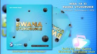 BWANA UTUHURUMIE - MISA YA XI - Fr. Malema L Mwanampepo (  audio )