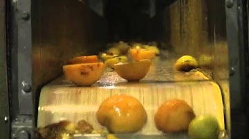 Peeled peach halves sorting machine Titan - TOMRA Sorting