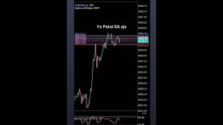 Jasa Jual EA forex