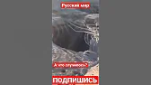 АМОН РA резерв