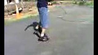 Flatland