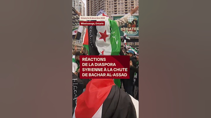 Des Syriens et Syriennes réagissent à l'annonce de la chute de Bachar Al-Assad