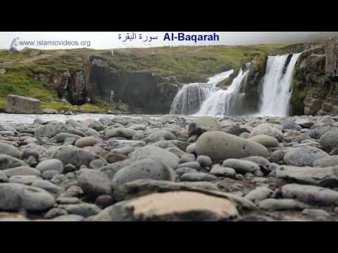 Surah Baqarah of Holy Quran, 1 of the World&rsquo;s Best Quran Video in 50+ Languages