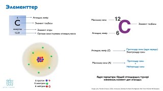 картинка: 7.2. Химиялық элемент атомының сипаттамасы