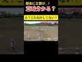 🥎何が起きた？衝撃？特殊なルール？！謎の判定？！男子ソフトボール　ハイシニア　名古屋クラブ　静岡ハイシニア #softball #野球 #プロ野球