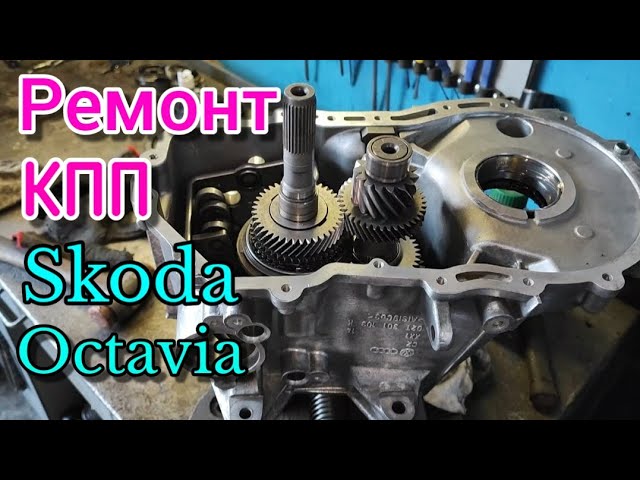 Mobil telefonlar uchun rus porno Yigit joja yubkasi ostiga qarab hayajonlanadi.