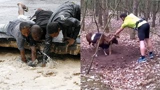 TOP Animal Rescues, Emotional/Inspiring/Funny Will Melt Your Heart Compilation.  REAL LIFE HEROES