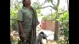 Lagu madura-oreng tak andik.mp4