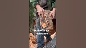 Firewood . From truck to woodshed #shorts #firewood #logger #chainsaw #bekind  #lovewins
