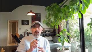 学习圣上最新文章有感:为什么中国永远建不成消费型社会|求是|习近平|内卷|新质生产力