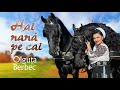 Olguța Berbec - Hai nană pe cai