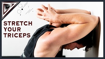 Tricep and Lat Stretch (Tendonitis Relief)