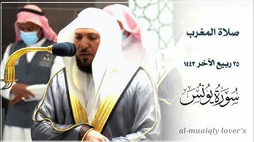 إبداع وكرد مؤثر من الشيخ ماهر المعيقلي ما تيسر من سورة يونس صلاة المغرب 25 ربيع اﻵخر 1443 |