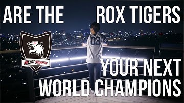 Rox Tigers - Your next World Champions? [English]