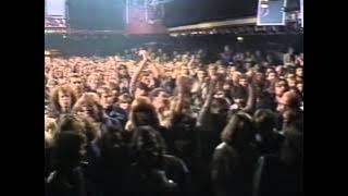 Dr. Feelgood, Berlin, 1980