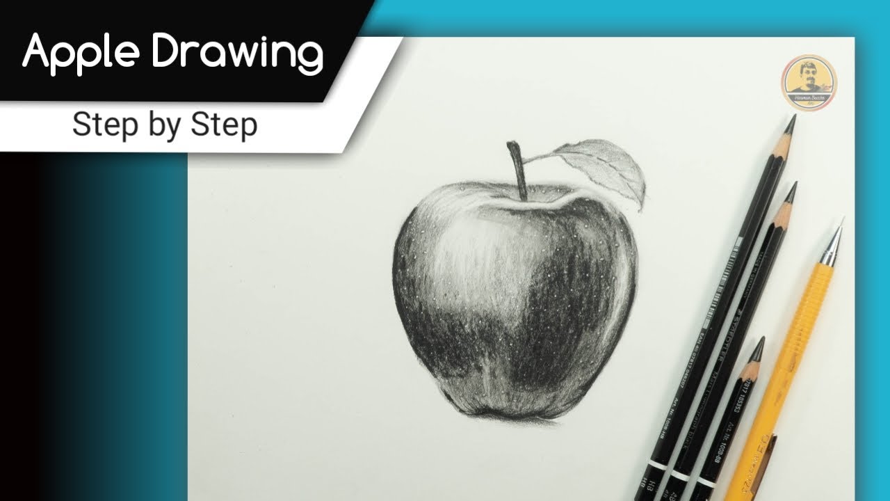 How to draw Apple Step by Step Apple Drawing Tutorial Apple