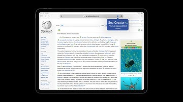 WWDC21: Explore Safari Web Extension improvements | Apple