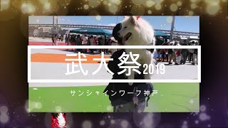 💘サモエド さくら💘 KOBEサンシャインワーフ武大祭2019.9