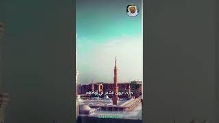 حطت رحال محبتي تعظيما .. لسموه وزهت به تكريما .. حارت عيون الشعر في أوصافه .. وترنمت في هديه ترنيما