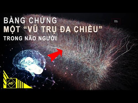 Video: Người phát ngôn: Inside DT Swiss