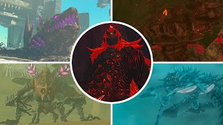 The Legend of Zelda: Tears of The Kingdom - All Bosses (No Damage)