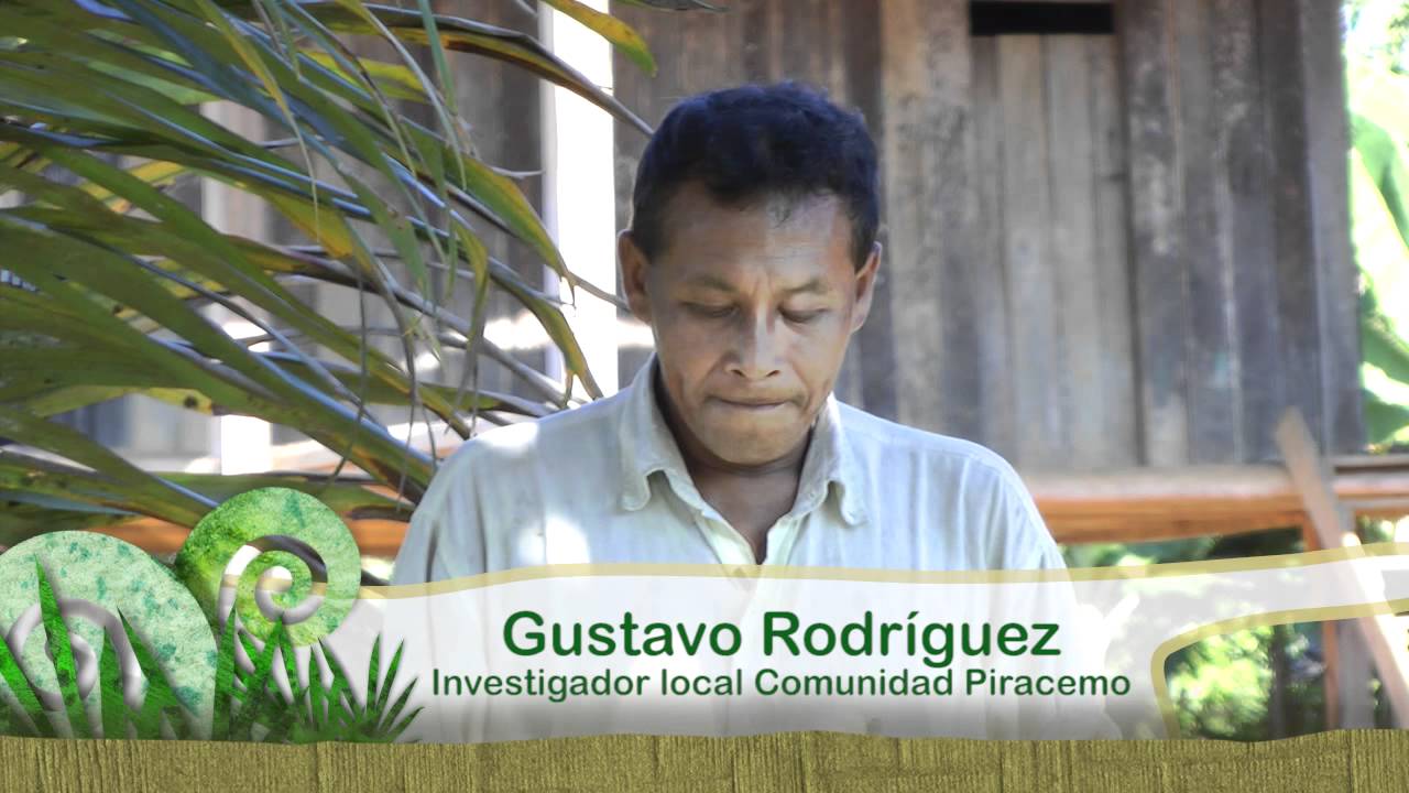 Lengua indígena cubeo en Piracemo, Vaupés